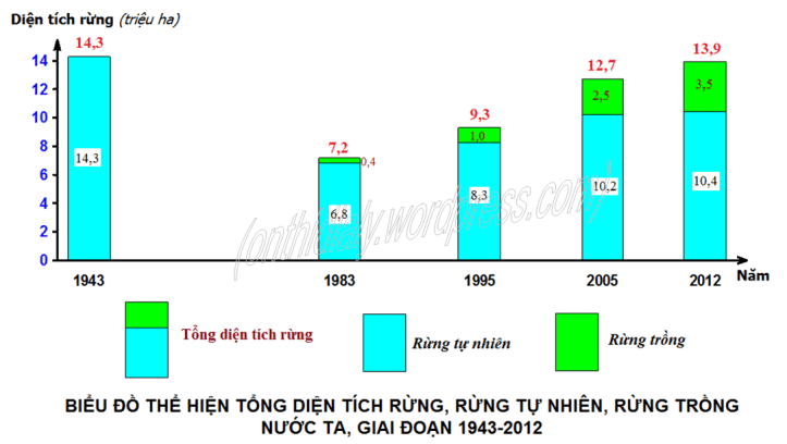 Đề 8 (đáp án-WEB)