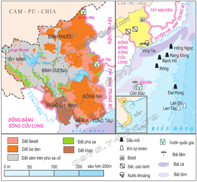 Đông Nam Bộ Dẫn Đầu Cả Nước Về Diện Tích Gieo Trồng Cây Công Nghiệp Nào Sau Đây?