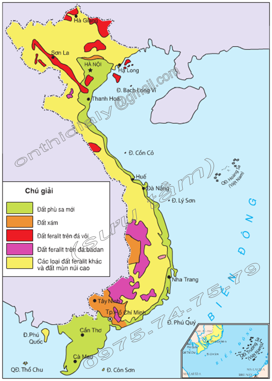 Hình 36.2. Lược đồ phân bố các loại đất chính ở Việt Nam, lớp 8