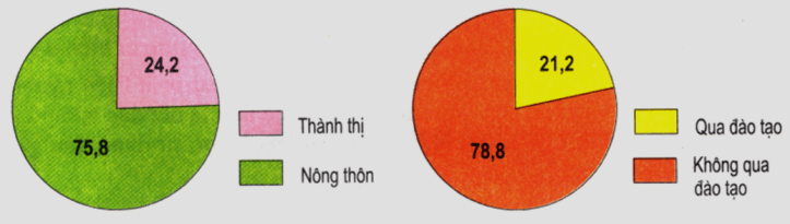 Hình 4.1. Biểu đồ cơ cấu lực lượng lao động phân theo thành thị, nông thôn và theo đào tạo, năm 2003, lop 9