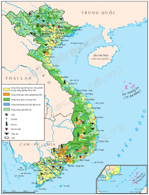 Hình 8.2. Lược đồ nông nghiệp Việt Nam