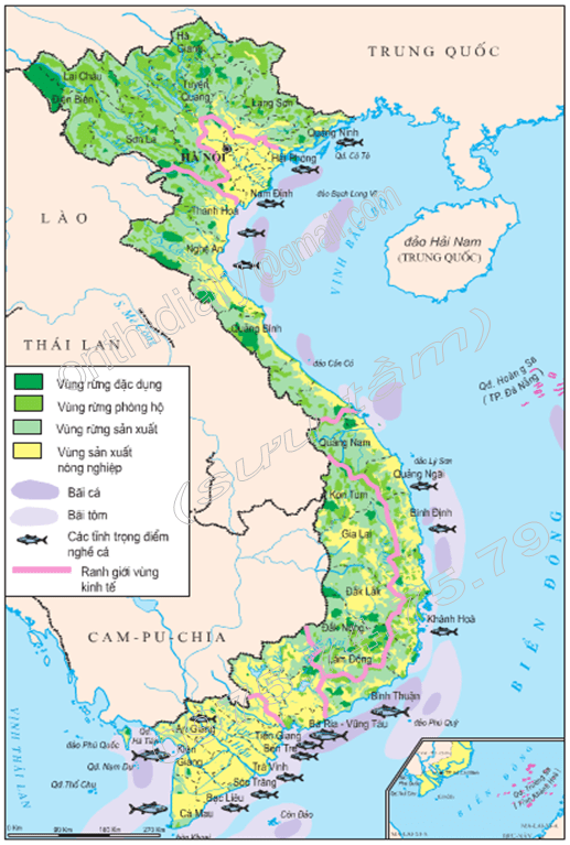 Hình 9.2. Lược đồ lâm nghiệp và thủy sản Việt Nam, lop 9