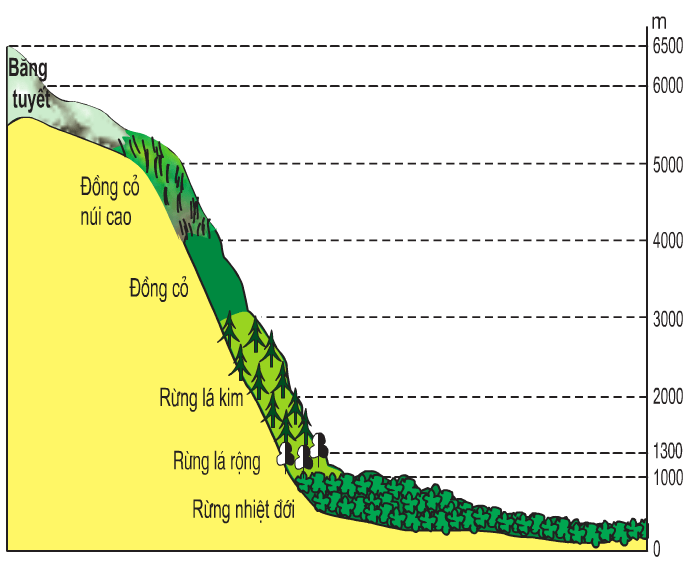 Hinh 46.2. Sơ đồ sườn đông An-đet qua lãnh thổ Pê-ru