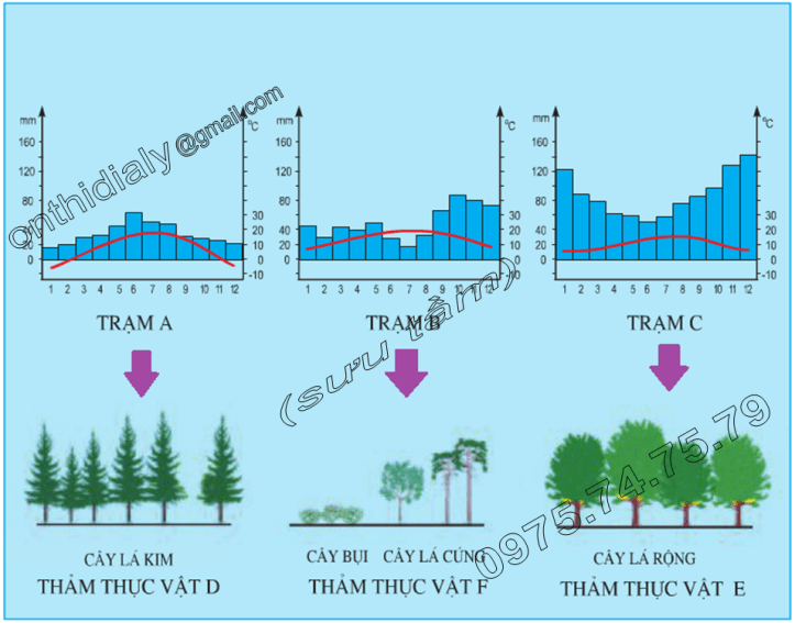Hinh 53.1. Biểu đồ nhiệt độ, lượng mưa và sơ đồ thảm thực vật ở một số vùng của châu Âu