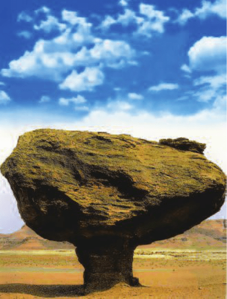 Hinh 9.5. Nấm đá