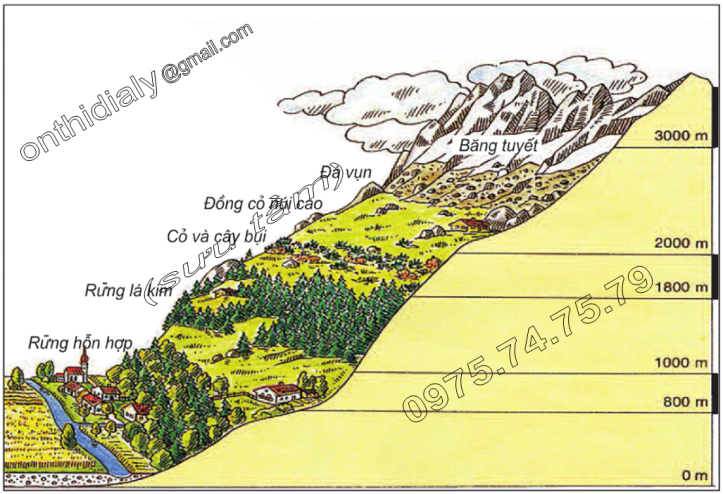 Hinh 18. Các vành đai thực vật theo độ cao ở núi An-pơ (châu Âu)