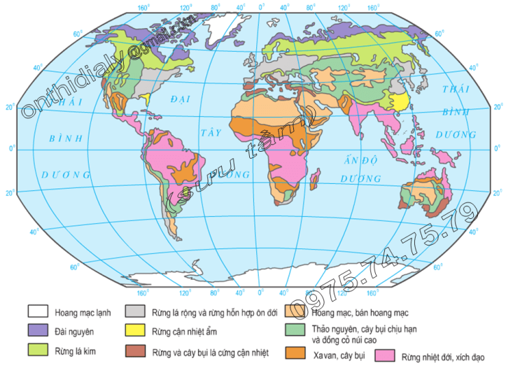 Hinh 19.1. Các kiểu thảm thực vật chính trên thế giới