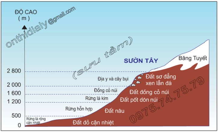 Hinh 19.11. Sơ đồ các vành đai thực vật và đất ở sườn Tây dãy Cap-ca