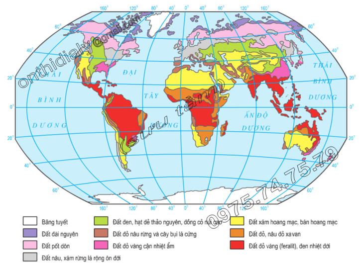 Hinh 19.2. Các nhóm đất trên thế giới