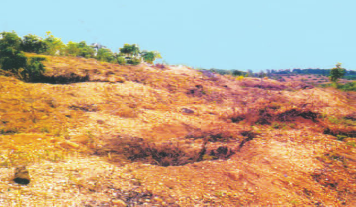 Hinh 20.2. Bề mặt đất bị rửa trôi, xói mòn sau khi rừng bị tàn phá