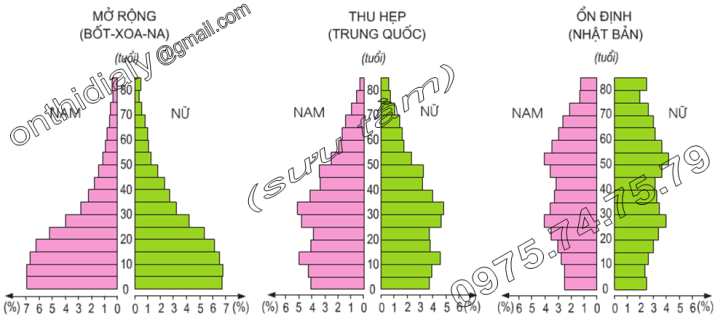 Hinh 23.1. Các kiểu tháp dân số cơ bản