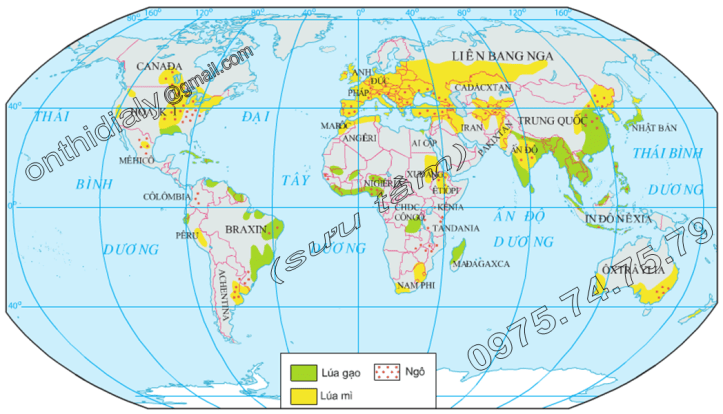 Hinh 28.2. Phân bố các cây lương thực chính trên thế giới