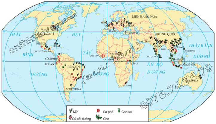 Hinh 28.5. Phân bố các cây công nghiệp chủ yếu trên thế giới