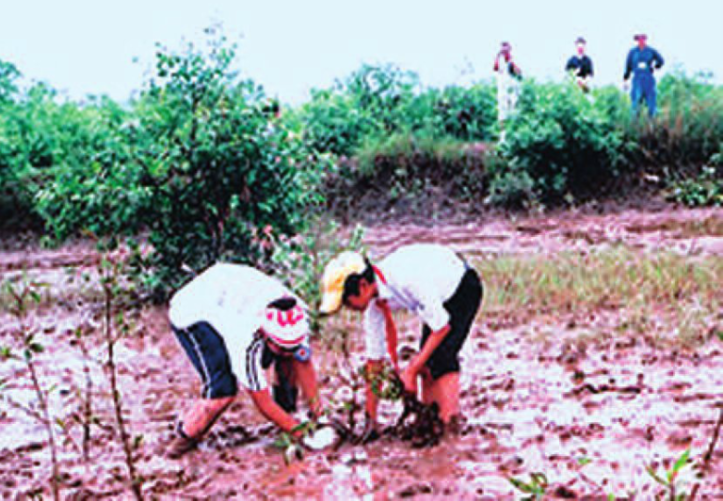 Hinh 28.6. Thanh thiếu niên tích cực tham gia trồng rừng ngập mặn (Việt Nam)