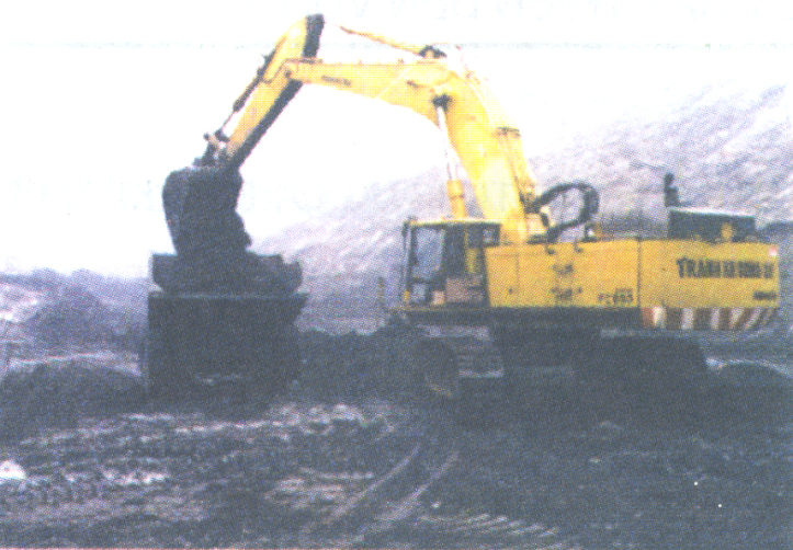 Hinh trang 160, sgk địa 10