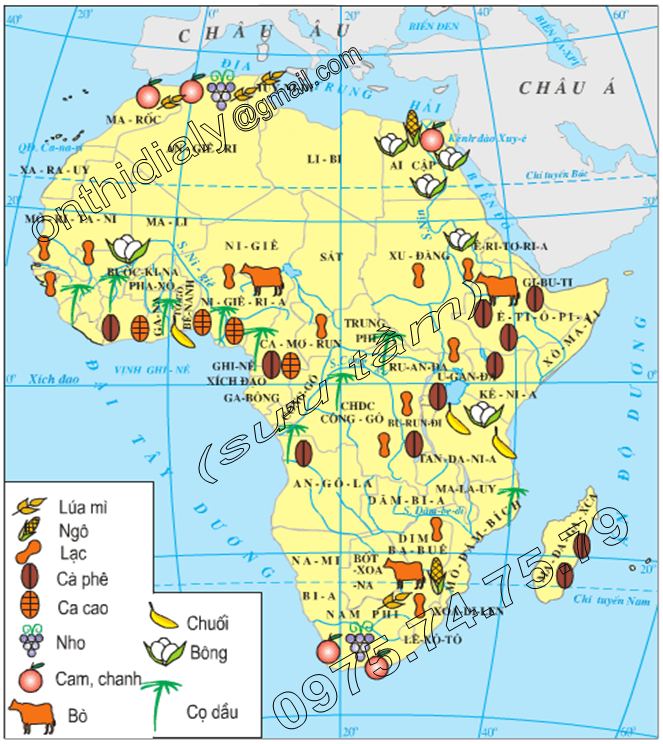 Hinh 30.1. Lược đồ nông nghiệp châu Phi