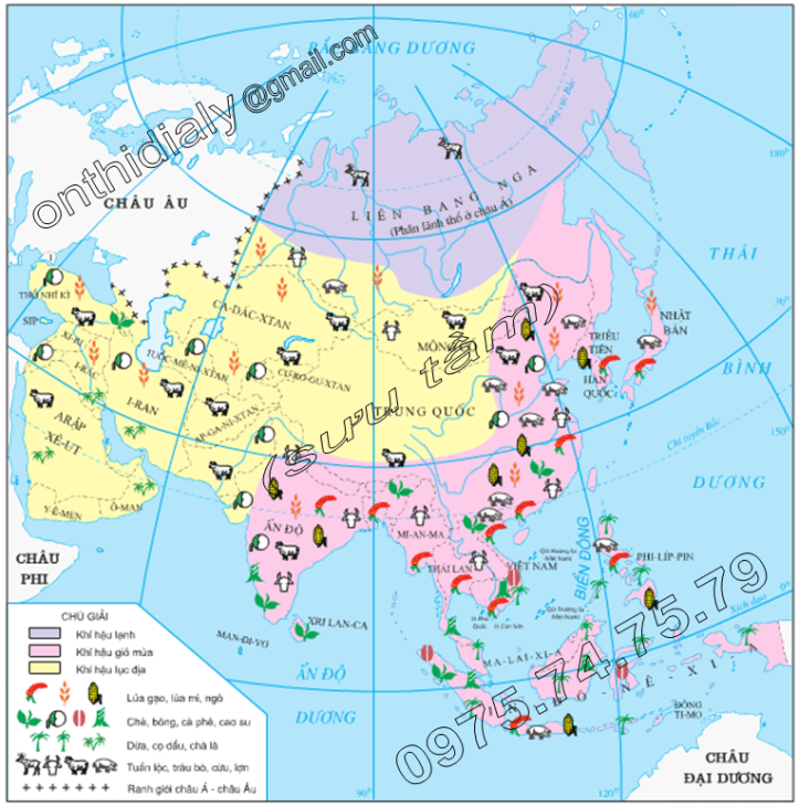 Hinh 8.1. Lược đồ phân bố các cây trồng, vật nuôi ở châu Á
