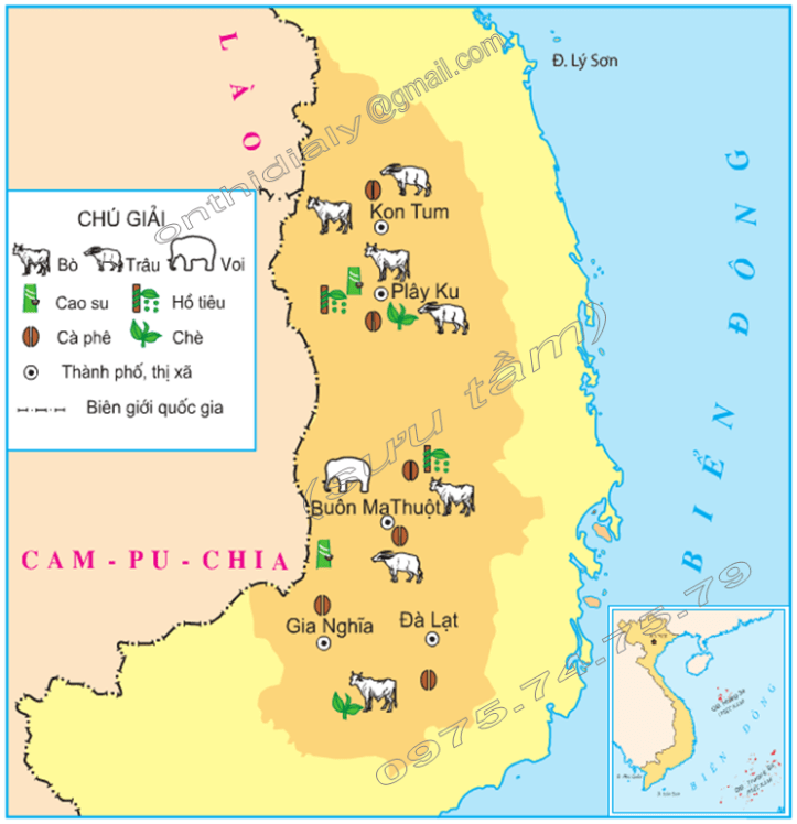 Hinh 1. Lược đồ một số cây trồng và vật nuôi chính ở Tây Nguyên