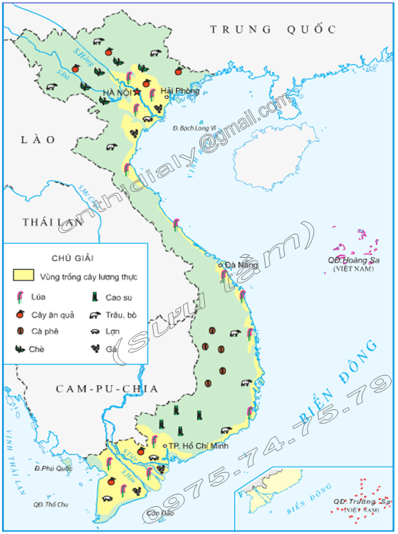 Hinh 1. Lược đồ nông nghiệp Việt Nam