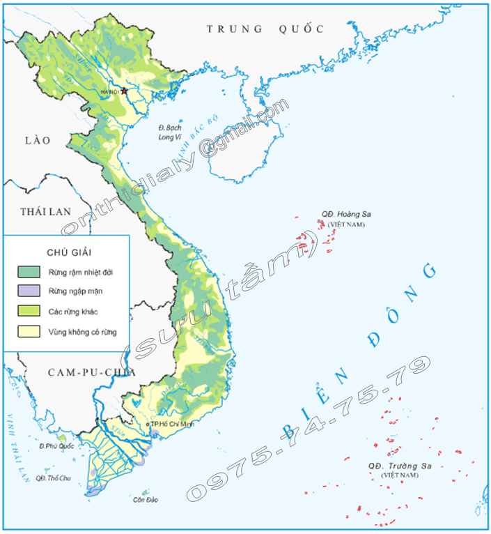 Hinh 1. Lược đồ phân bố rừng ở Việt Nam