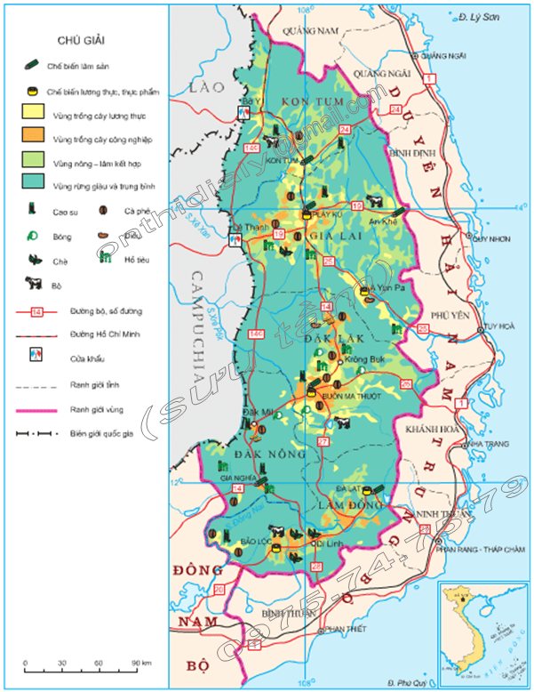 Hinh 37.1. Khai thác một số thế mạnh chủ yếu về nông, lâm nghiệp ở Tây Nguyên