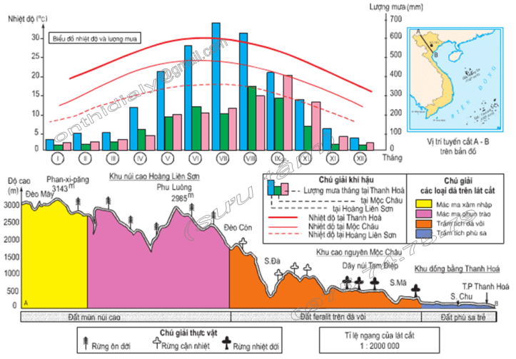 Hình 40.1. Lát cắt tổng hợp địa lí tự nhiên từ Phan-xi-păng tới TP.Thanh Hóa, lop 8