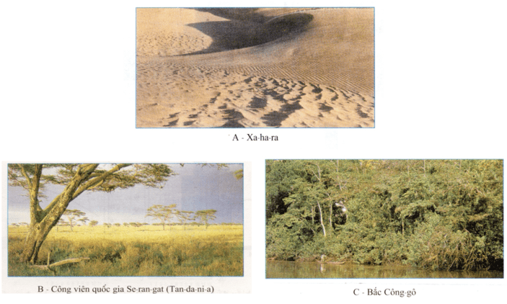 Hinh trang 39, SGK Địa 7