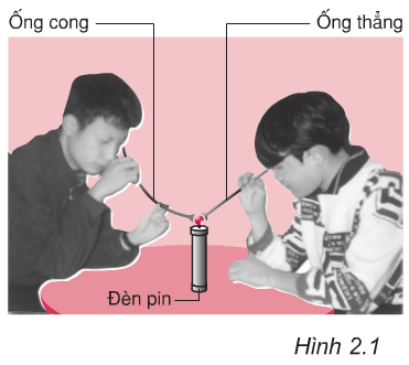 Hình 2.1 (Vật lý 7)