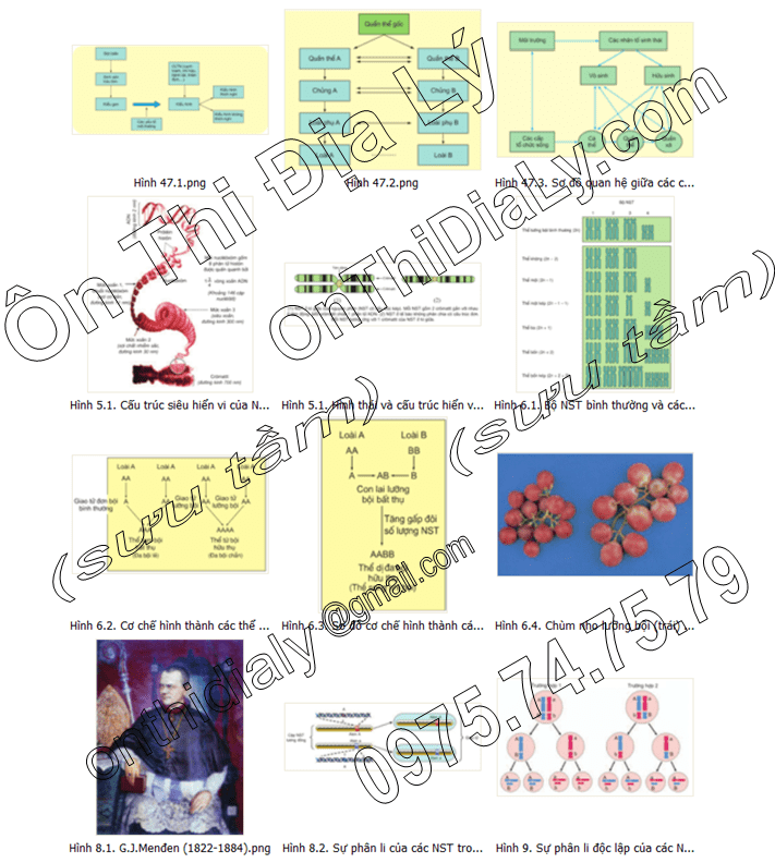 Sinh Học lớp 12 (10)