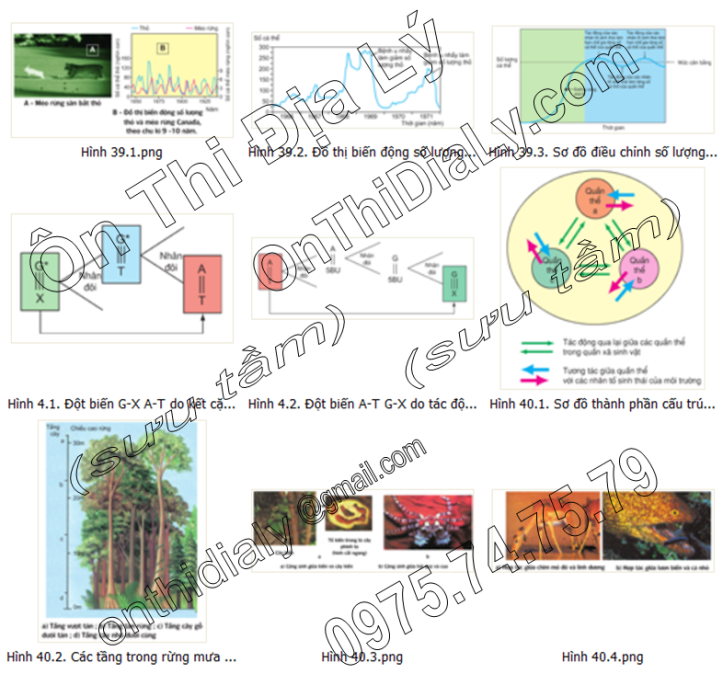 Sinh Học lớp 12 (7)