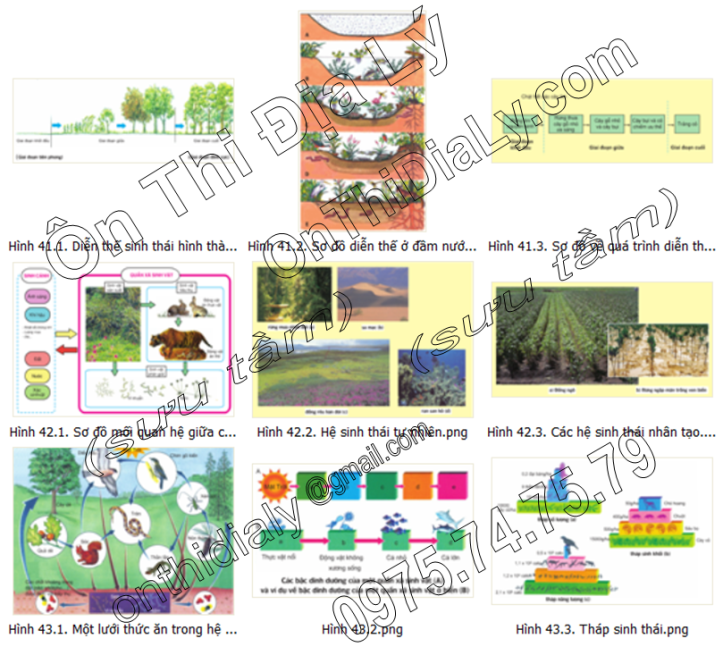 Sinh Học lớp 12 (8)