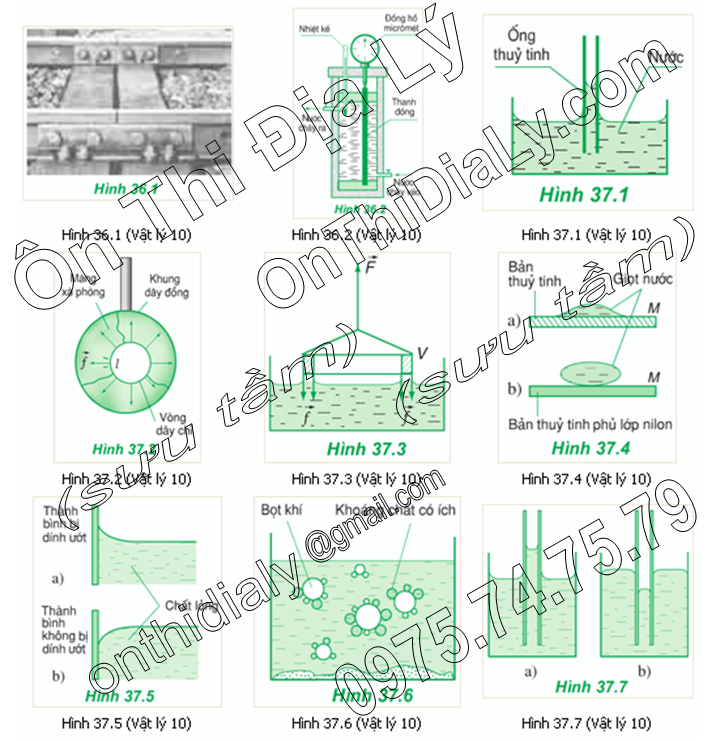 Vật Lý lớp 10 (18)
