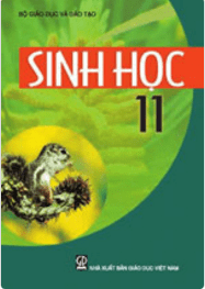Bìa SGK Sinh học 11