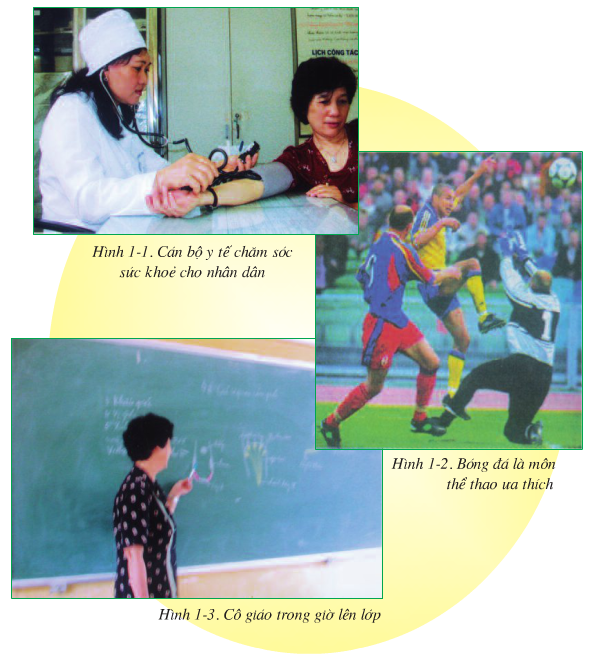 Hình 1.1, 1.2 và 1.3 (Sinh 8)