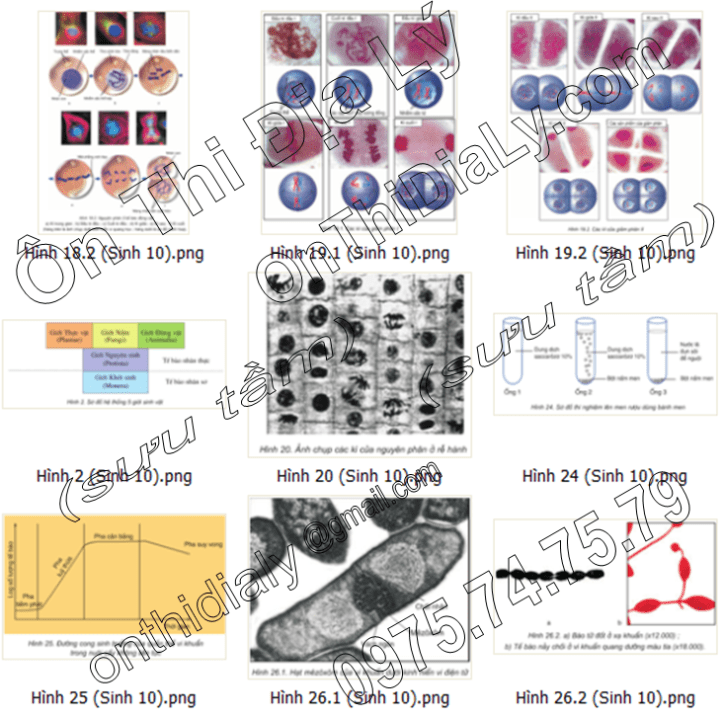 Sinh Học lớp 10 (3)