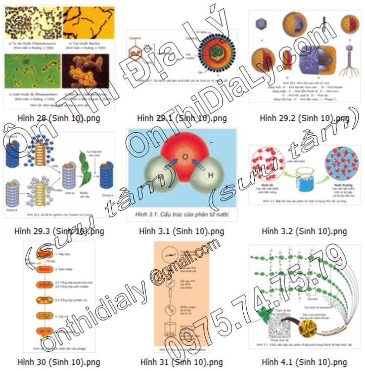 Sinh Học lớp 10 (4)