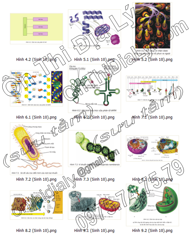 Sinh Học lớp 10 (5)