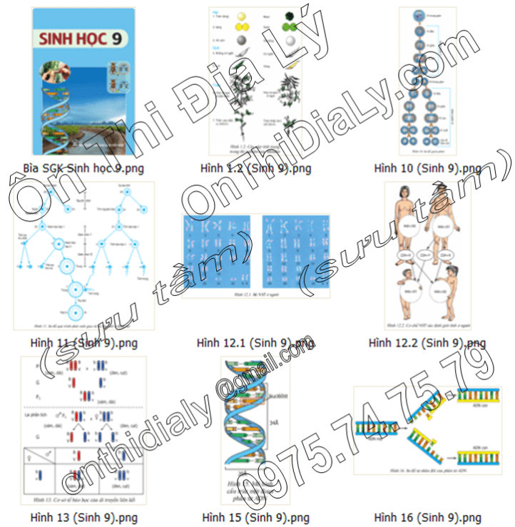 Sinh Học lớp 9 (1)