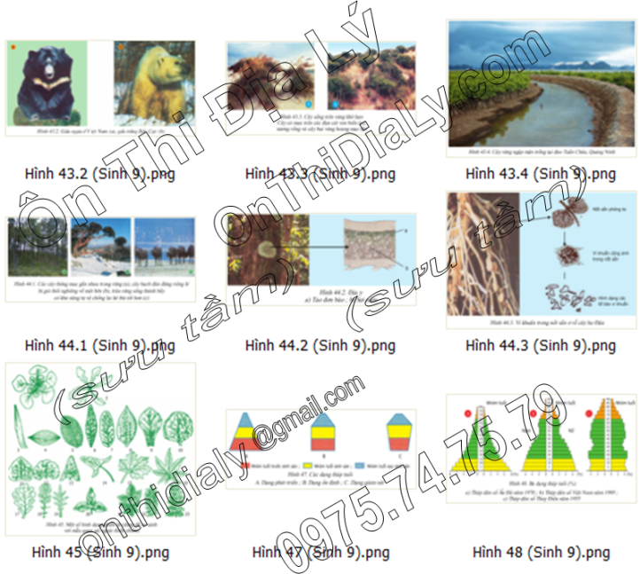 Sinh Học lớp 9 (7)