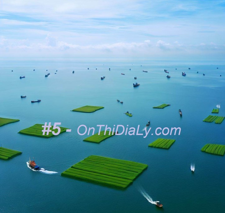 #5.10-OnThiDiaLy.com